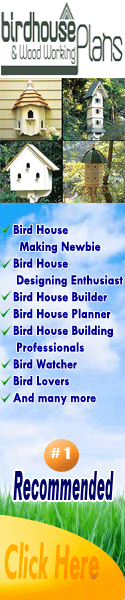 Bird House Plans