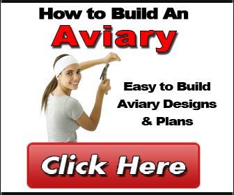 How To Build An Aviary