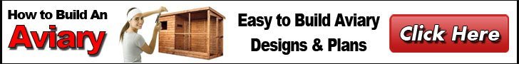 How To Build An Aviary