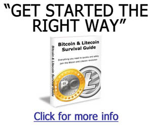 Bitcoin Survival Guide