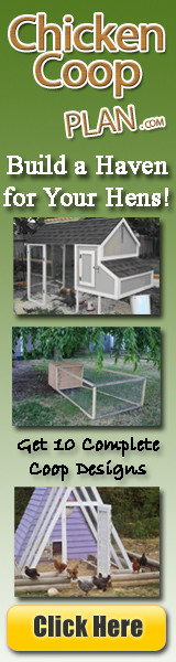 Chicken Coop Plans