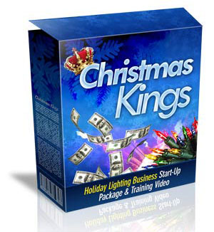 Christmas Lighting Business