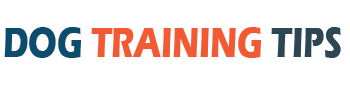 Dog Training Tips