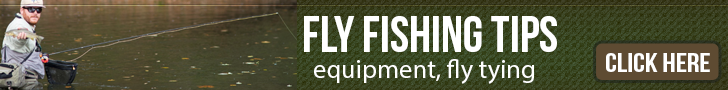 Fly Fishing for Beginners