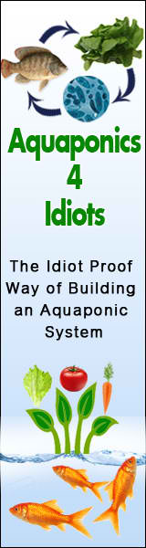 Aquaphonics for Idiots