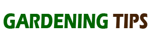 Gardening Tips