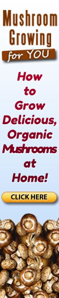 Mushroom Growing for You