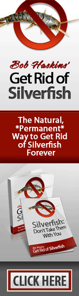 Ultimate Guide to Get Rid of Silverfish