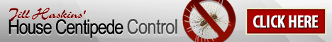 House Centipede Control