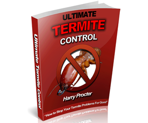 Termites Control