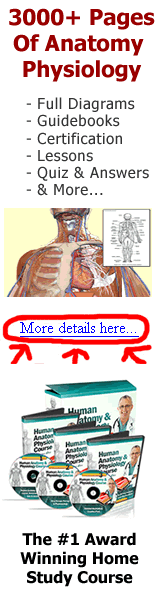 Human Anatomy and Physiology Study Course