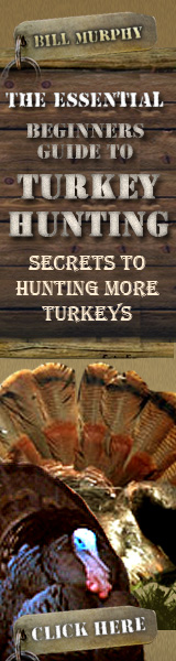 How to Hunt Turkey