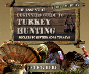 How to Hunt Turkey