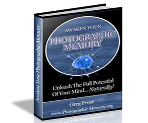 The Memory Professor System