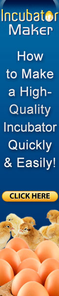 Incubator Maker