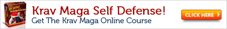Self Defense Krav Maga On-line