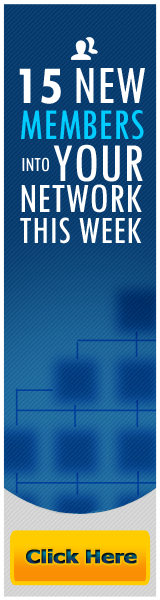 Bringing The Net Into Network Marketing