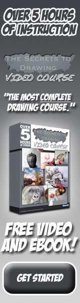 The Secrets To Drawing Video Course