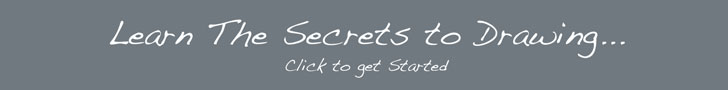 The Secrets To Drawing Video Course
