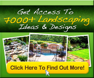 Landscaping Ideas