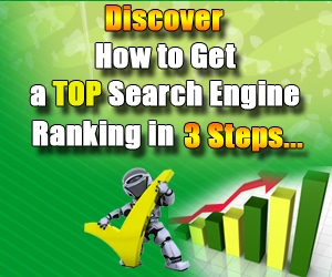 3 Steps To Search Engine Success Book