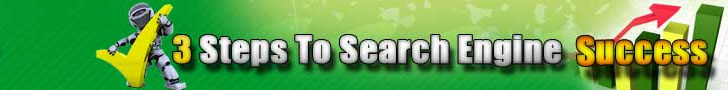3 Steps To Search Engine Success Book