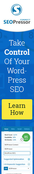 WordPress SEO