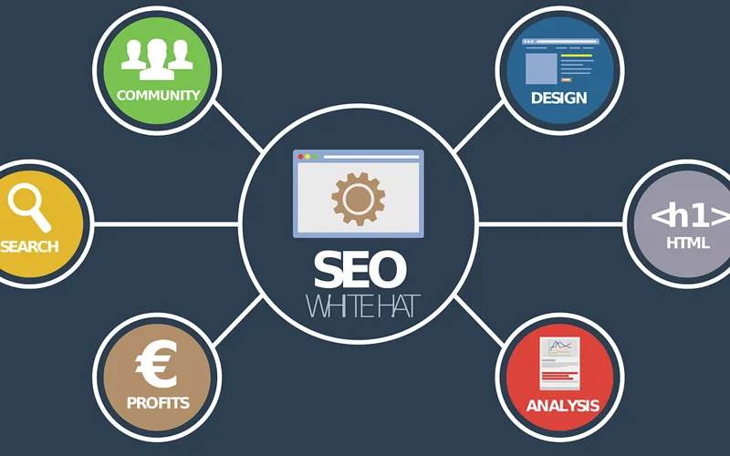 Understanding How SEO Works