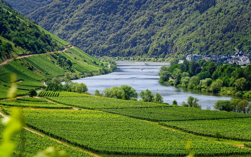 How to Save Money on Your Next Vacation